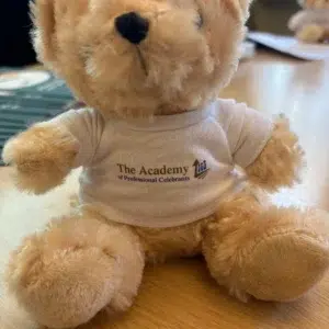 APC Branded Bear